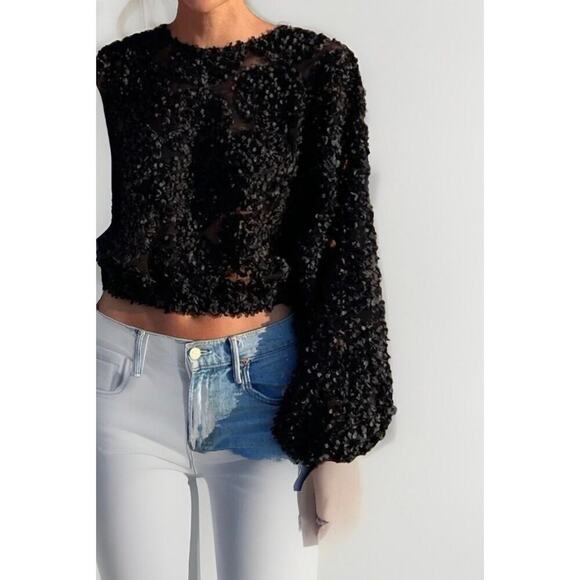 Zara Cropped Embroidered Sheer balloon Sleeve Blouse Black Small - Picture 1 of 7